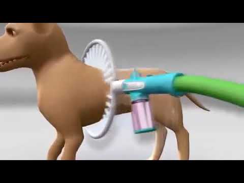 מכשיר ייחודי לרחיצת כלבים  WOOF WASHER 360