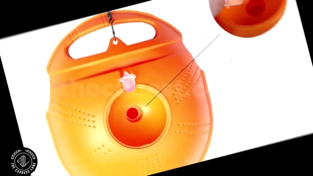 מאמן טניס אישי מקצועי לאימון ושיפור מיומנויות המשחק